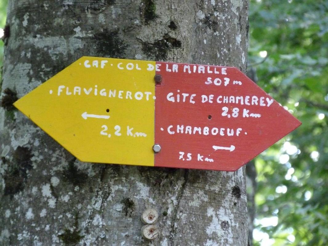Le Flav - Charmant Appartement A 10 Mn De Dijon Flavignerot Buitenkant foto